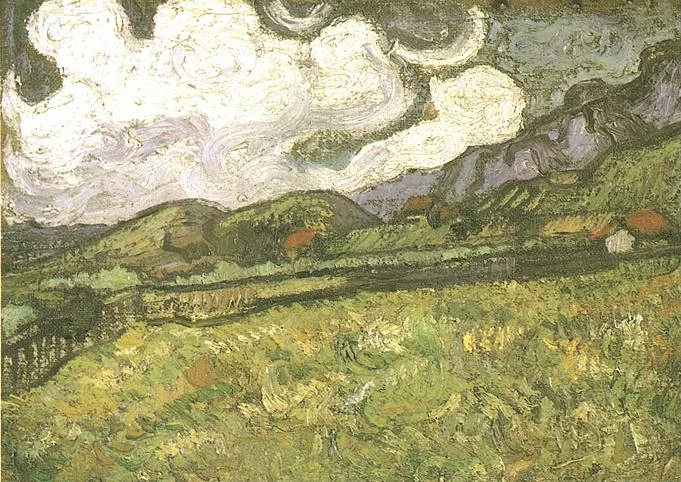 The meadow behind Saint Paul's hospital