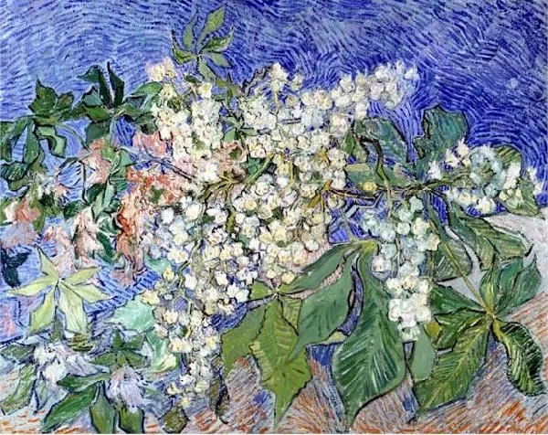 Blossoming chestnut branches
