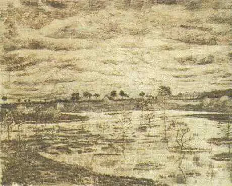 Marsh