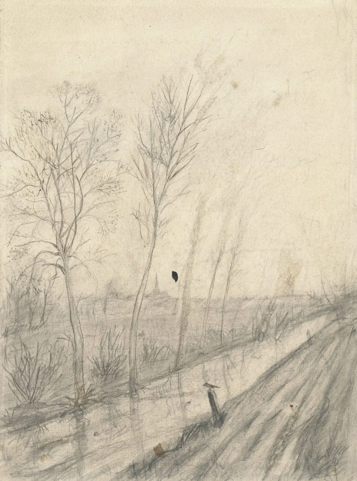 The ditch