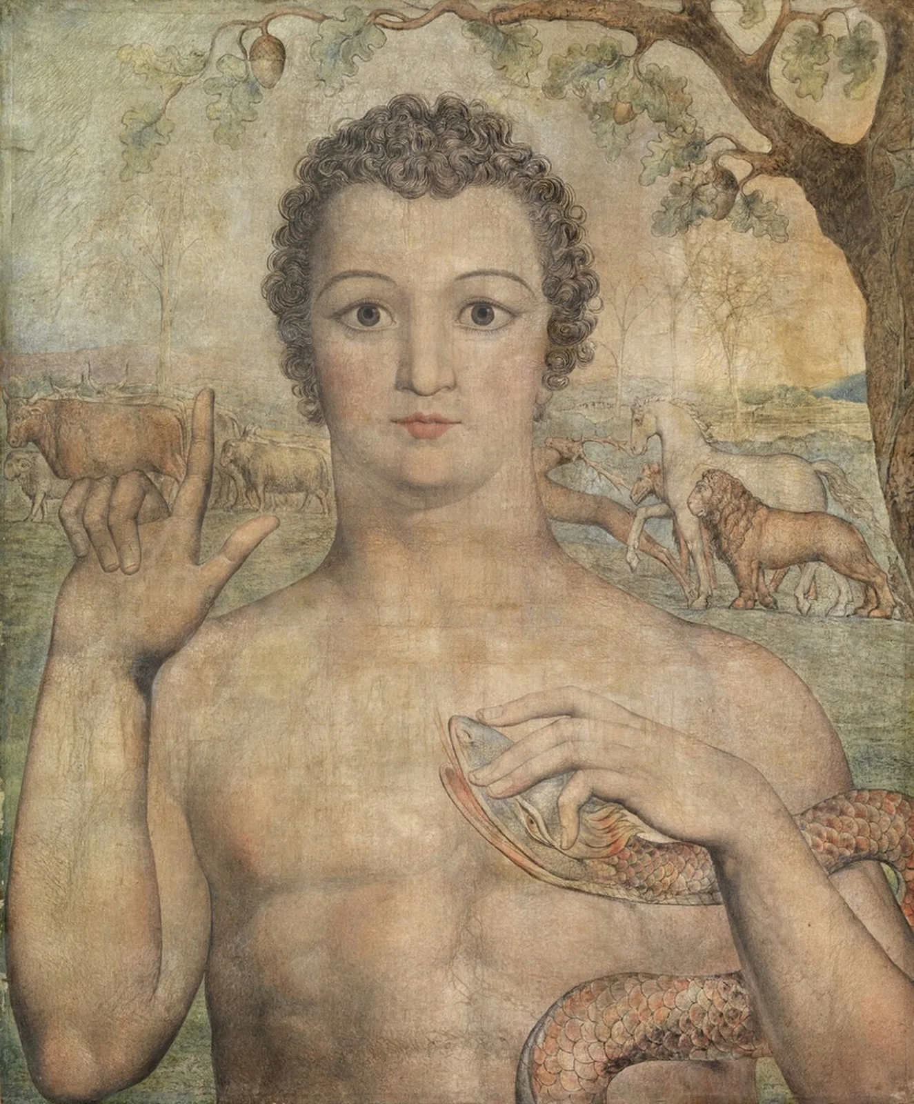 Adam Naming the Beasts