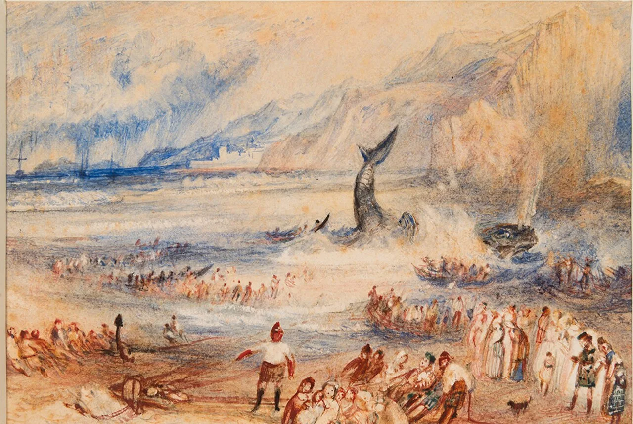 The Whale on Shore