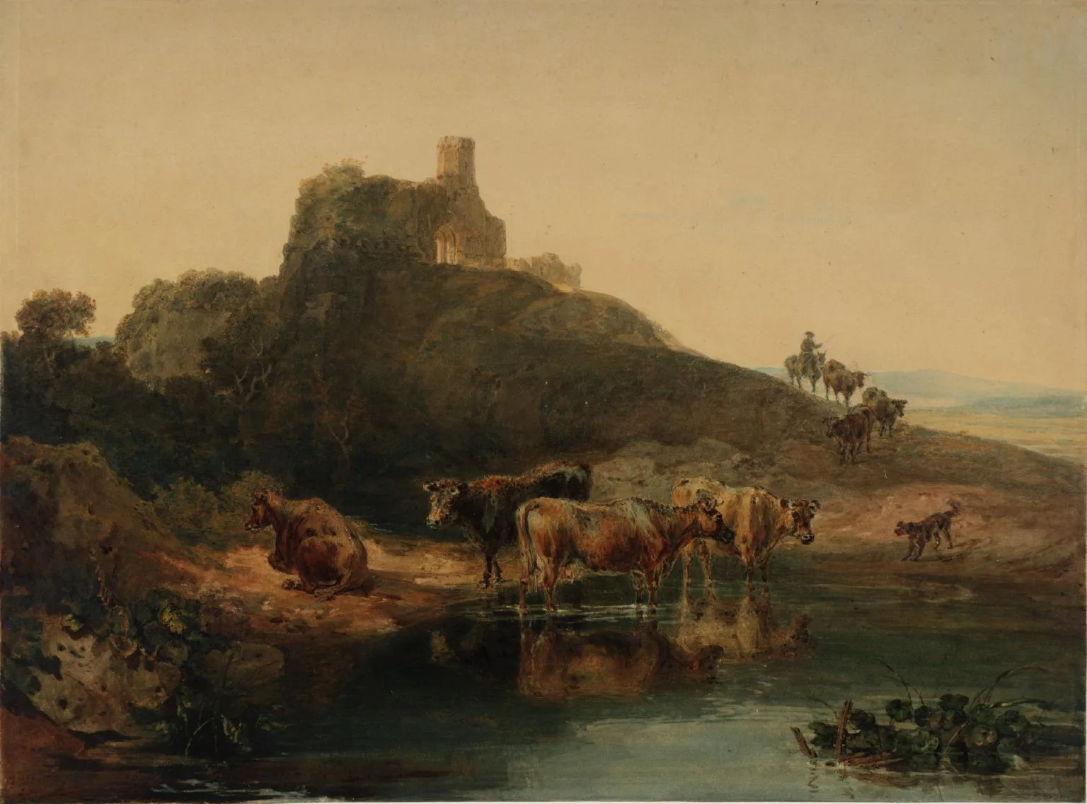 ?St Agatha’s Abbey, with Cattle