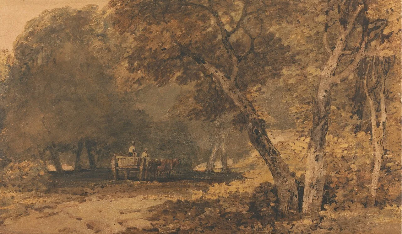 A Forest Road